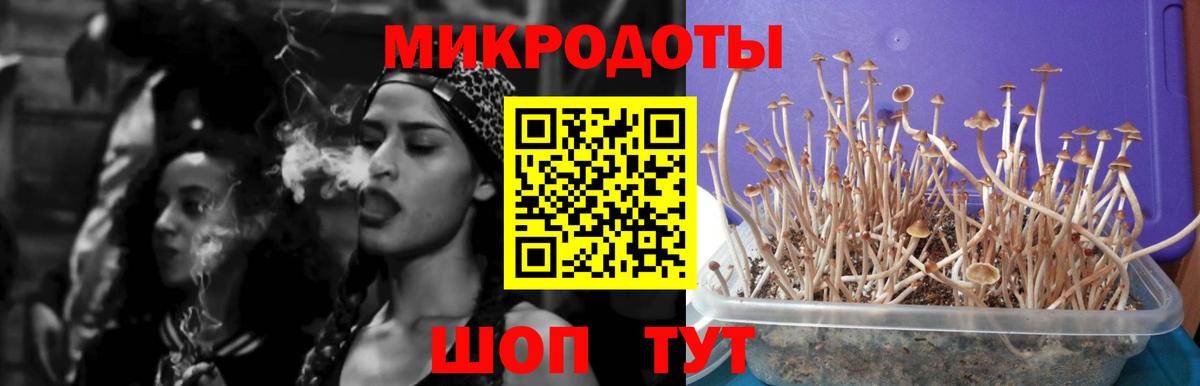 Карталы  Галлюциногенные грибы прущие грибы  Вход с VPN 